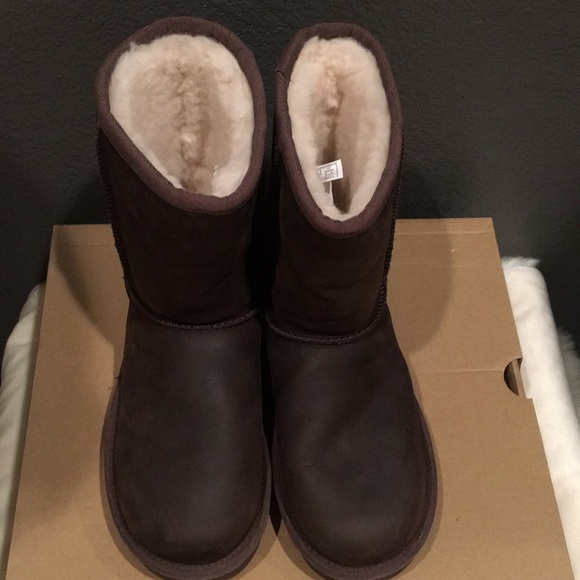 New w classic short leather ugg boot - Picture 4 of 13